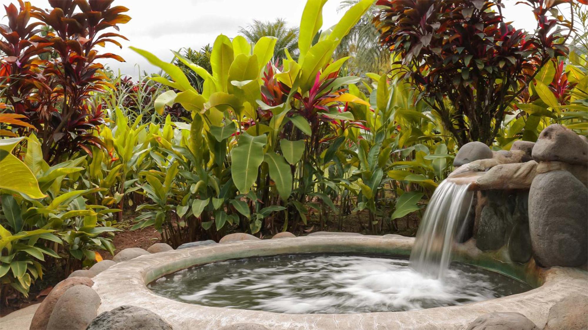 Volcano Lodge, & Thermal Experience