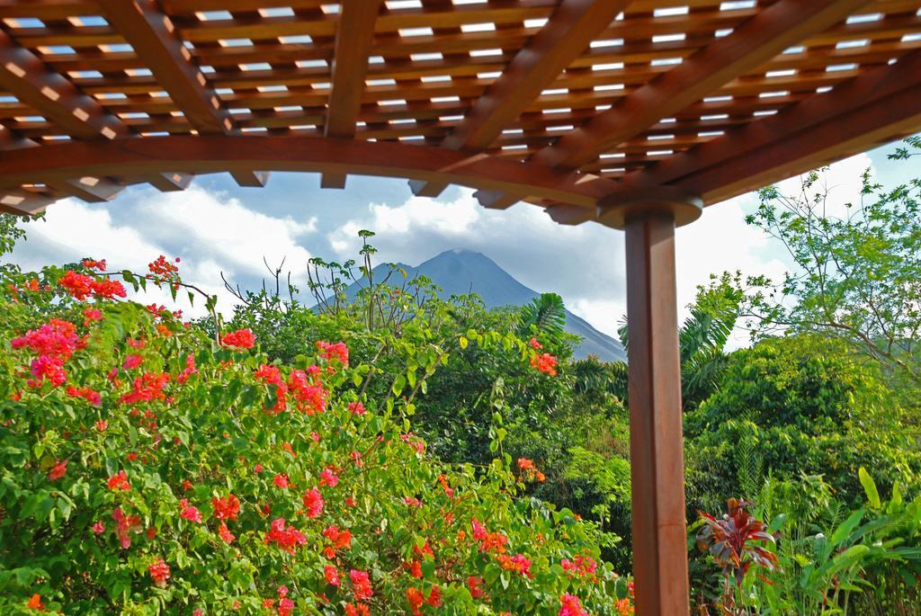 Volcano Lodge, & Thermal Experience